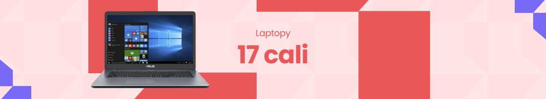 Laptopy poleasingowe i gamingowe 17 cali - alekom.pl